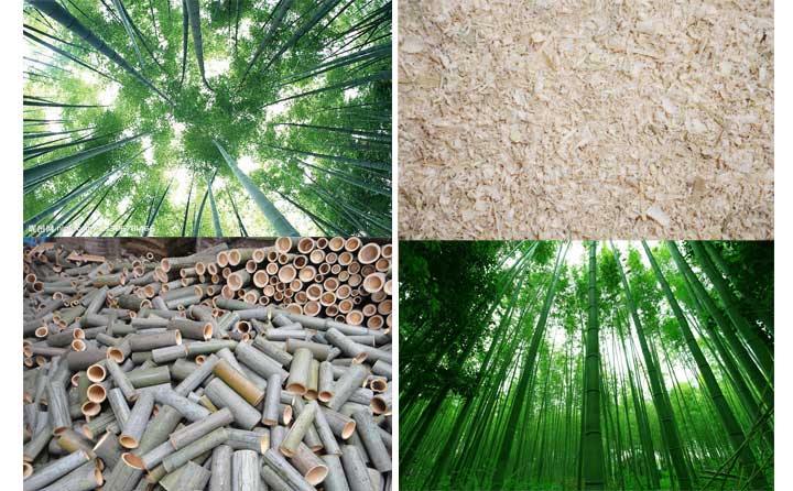 1468390780960082.jpg 竹屑.jpg