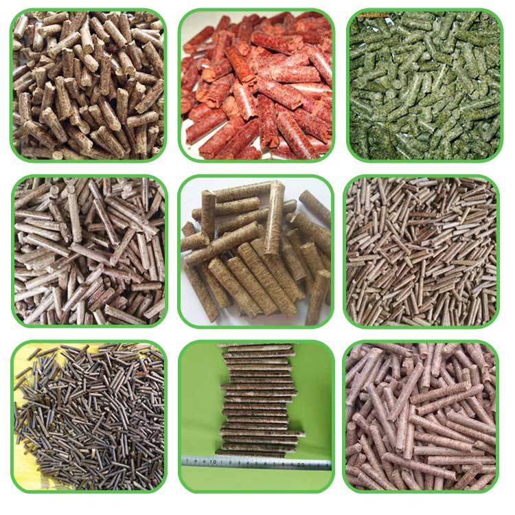 生物質環模顆粒機設備如何生產顆粒燃料 生物質環模顆粒機設備如何生產顆粒燃料