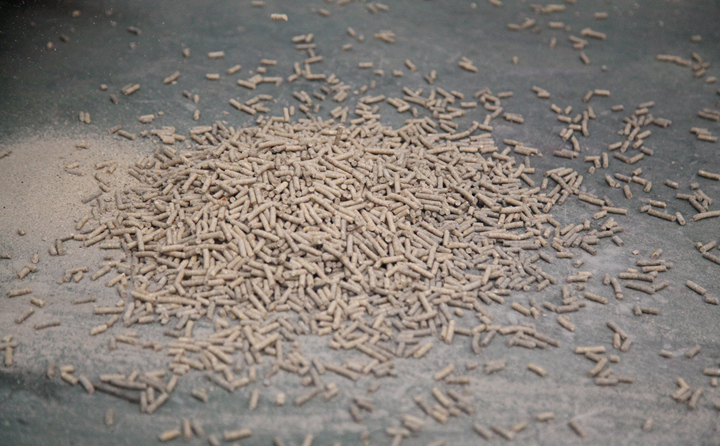 生物質燃料 生物質燃料