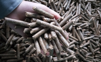 鋸末顆粒機顆粒，一種快速增長的能源載體