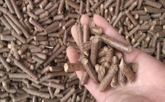 鋸末顆粒機生物質燃料與燃煤對比情況如何？