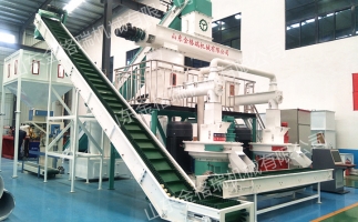 開鋸末顆粒機顆粒廠需要怎么做？