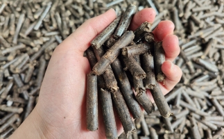 生物質(zhì)顆粒燃料公司前景怎么樣，木屑顆粒機(jī)的顆粒燃料賣給誰(shuí)的？